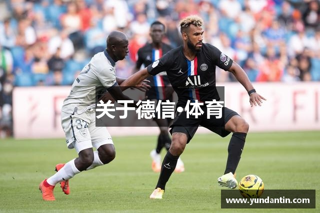 关于德信·体育